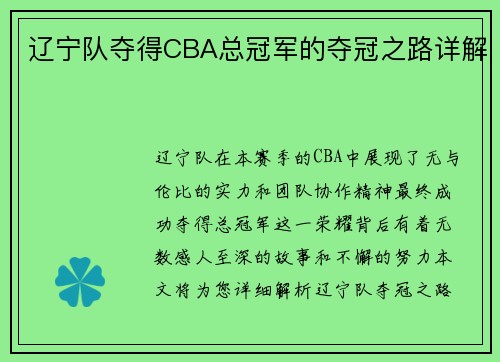 辽宁队夺得CBA总冠军的夺冠之路详解